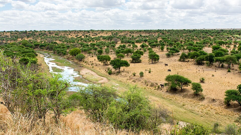 Tarangire