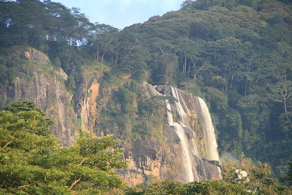 Waterfalls & forest trails
